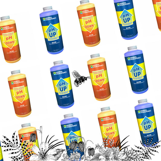 La Importancia del pH en la Brocoli Magico