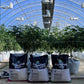 General Hydroponics Mexico Grow Shop