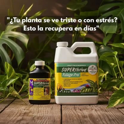 Kit Recuperación