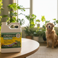 Foliage-Pro en living room con golden retriever