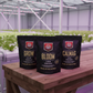 House & Garden Nutrients en Invernadero Técnico