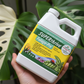 Mano femenina con Foliage-Pro y monstera bicolor